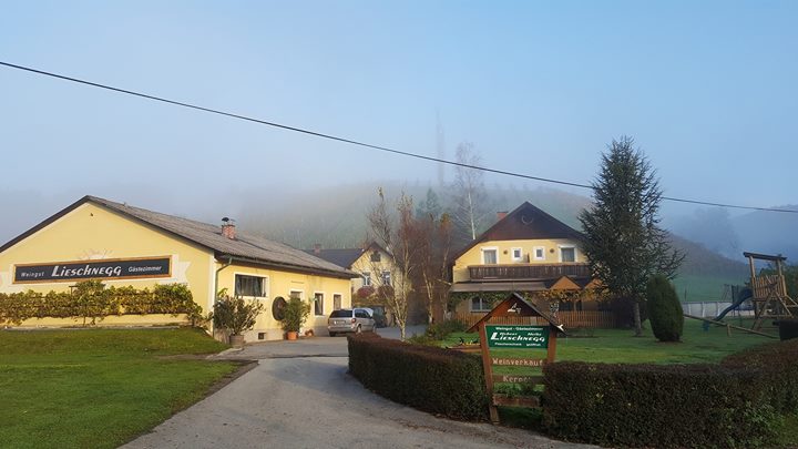 Weingut -Gästezimmer Lieschnegg Image