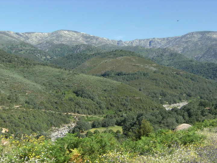 Casa Rural Chozos de Tejea Image