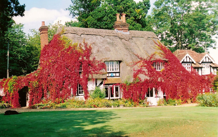 Farthing Corner Bed & Breakfast - Hampshire Image