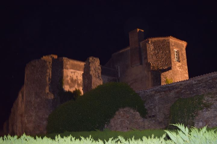 Le château de La Ménardière-Gîte de charme Image