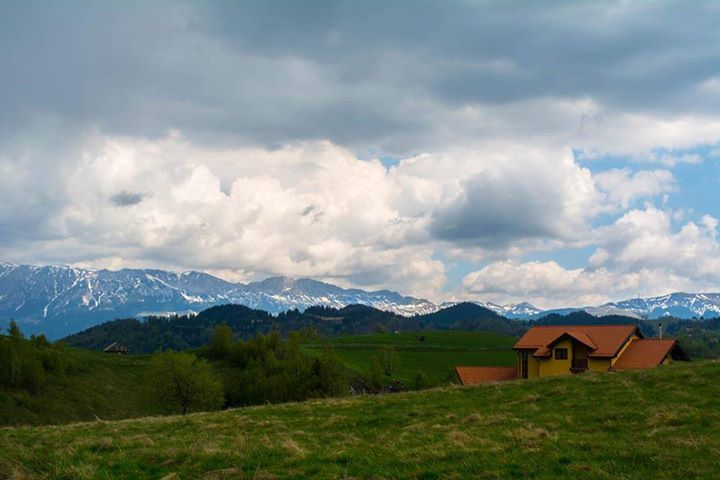 Pensiunea Crai Nou Image