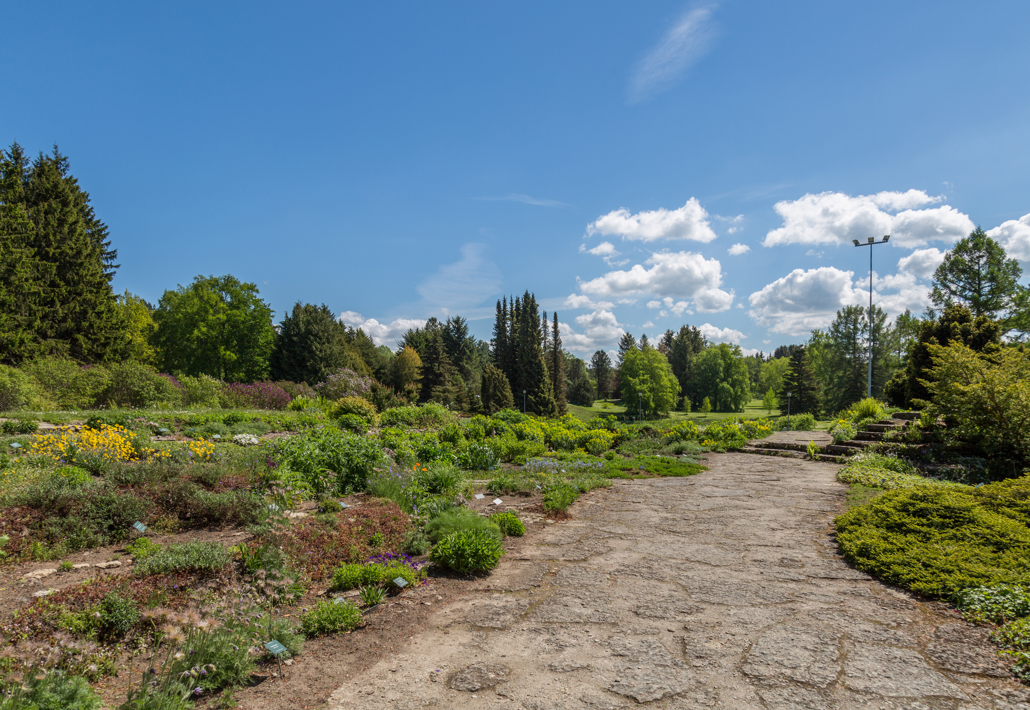 Tallinn Botanical Garden Image