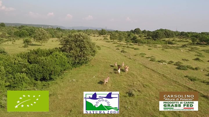 Bio-agriturismo Parco Rurale "Alture di Polazzo" Image