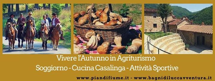 Agriturismo Pian di Fiume Image