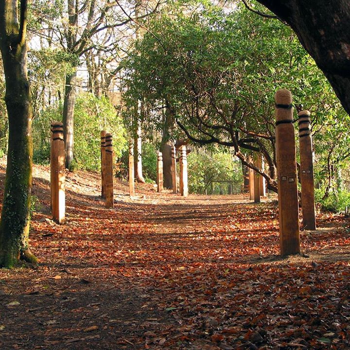 Parc Glynllifon Image
