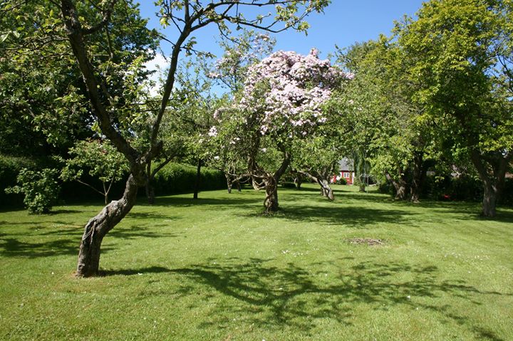 Det Lille "Hotel" BnB Image