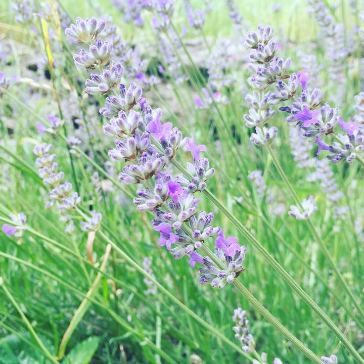 Casa 199 - Bed & Breakfast Image