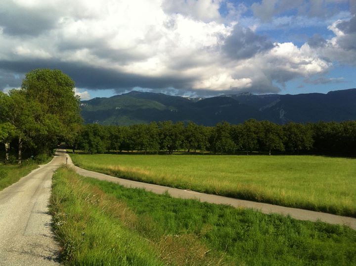 La maison aux bambous (Chambre d'hôtes) Image