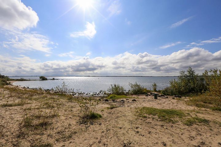 B&B en terras Quackgors Image