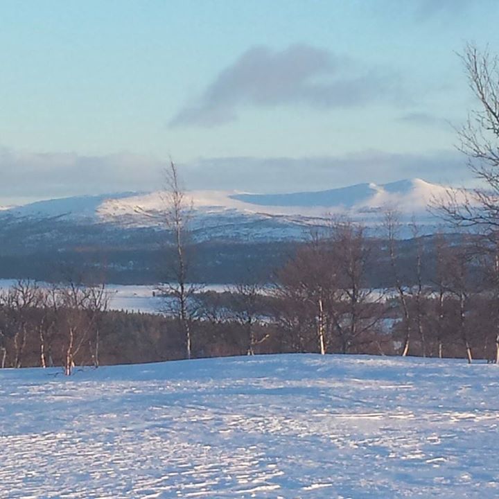 Tänndalens Fjällhotell-Hotell Tänndalen Image