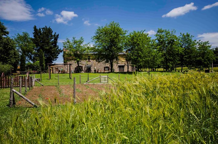Agriturismo Buonasera Image
