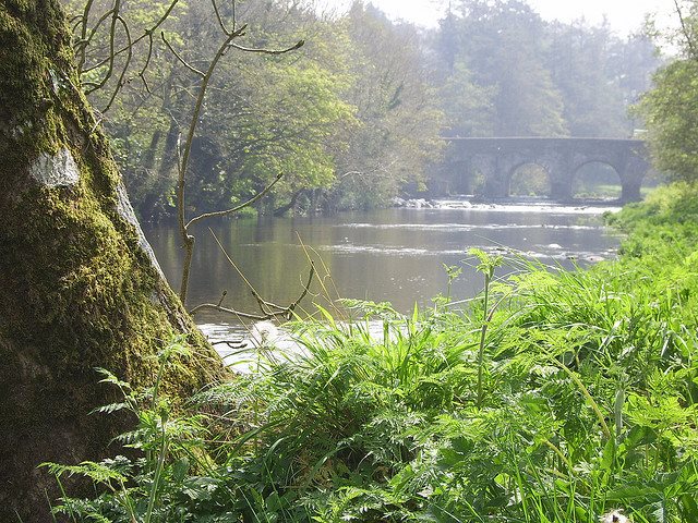 Weston House Bed & Breakfast Image