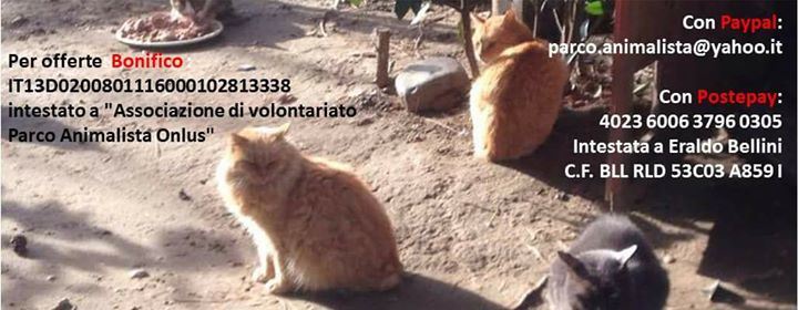 Parco Animalista Piazza D'armi Image