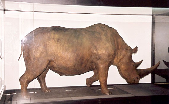 Muzeum Przyrodnicze ISEZ PAN Image