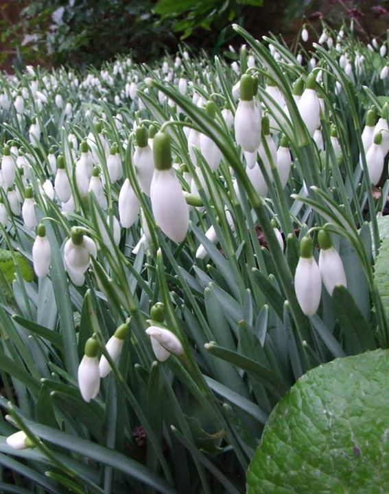 The John Moore Museum Image