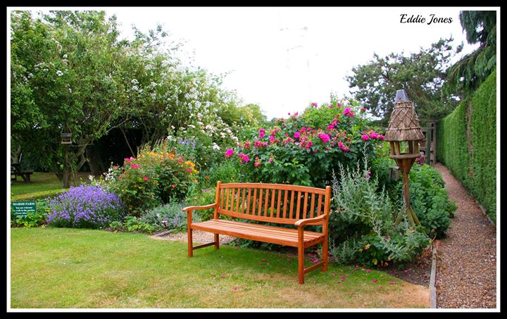 Marsh Farm Tea Rooms & Bed & Breakfast Image