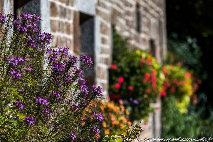 Les Jardins des Renaudies Image