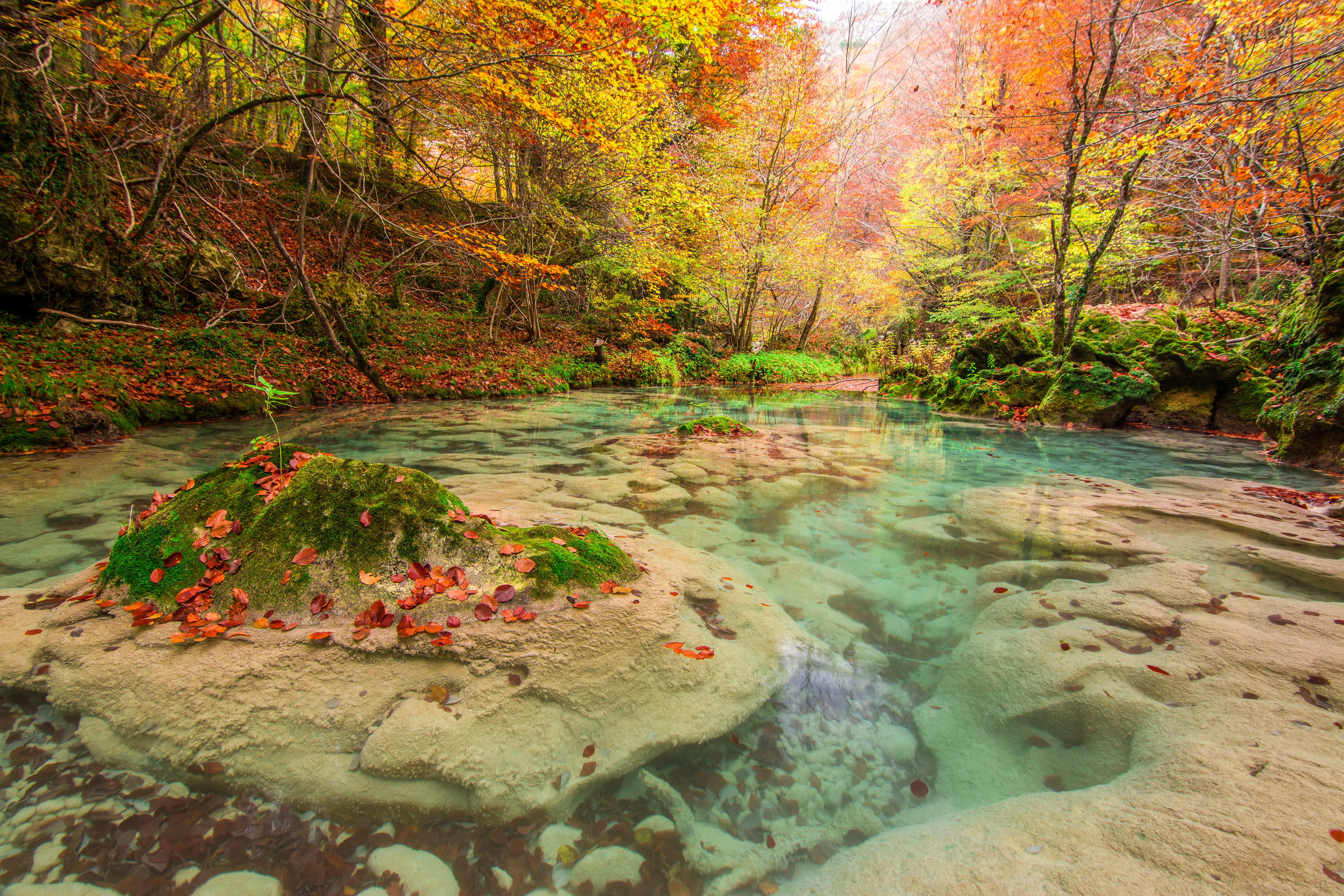 The beauty of Urederra river in Parque natural Urbasa y Andia Image