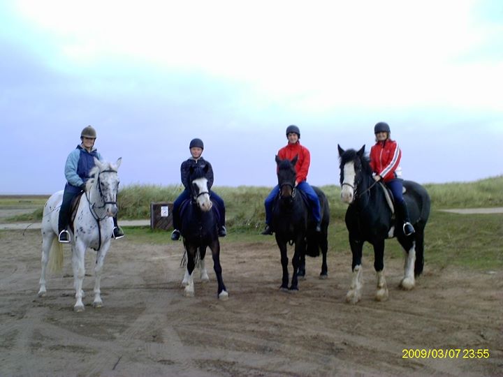 Halsall riding and livery centre Image
