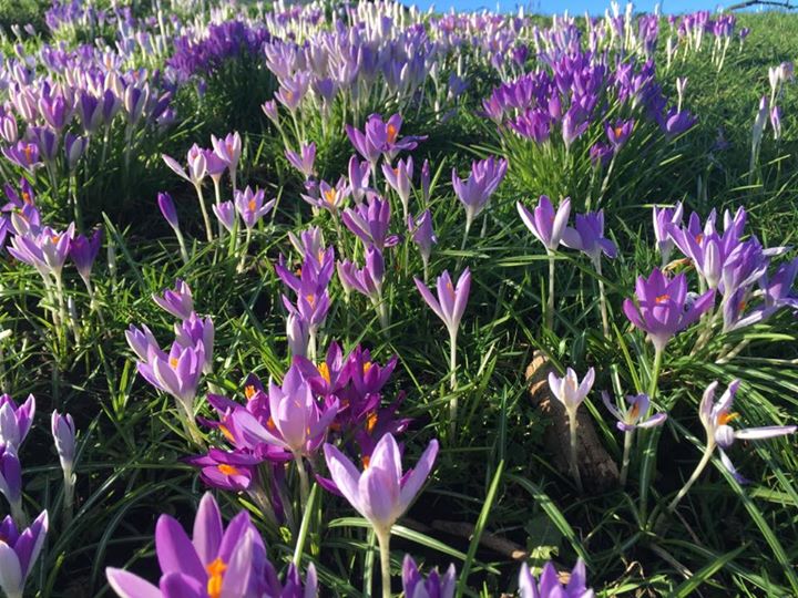 Riverside Bed and Breakfast, Bainbridge Image