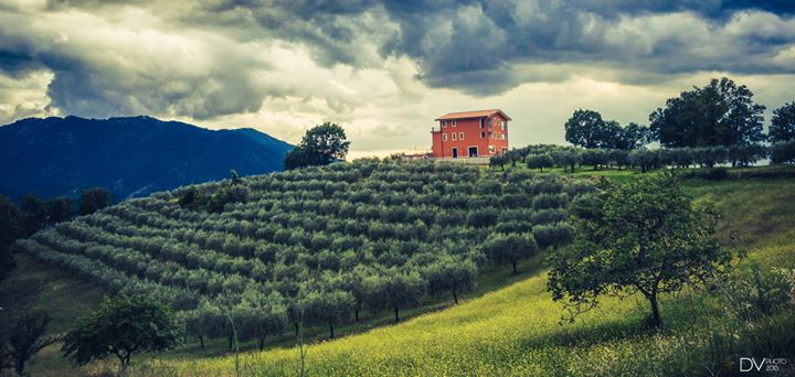 Agriturismo Santa Giusta Image