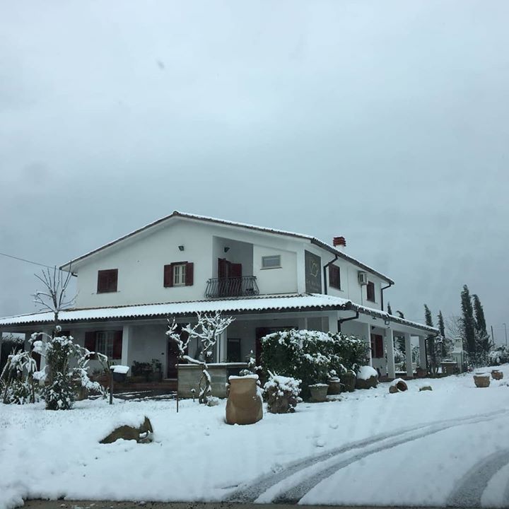 Le Anfore Bed and Breakfast Image