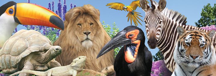 Linton Zoo Image