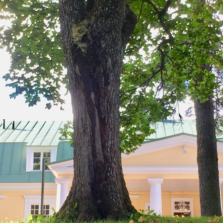 Hyvinvointikartano Kaisankoti Image