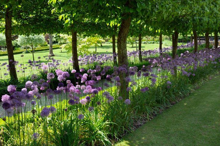 Buscot Park Image