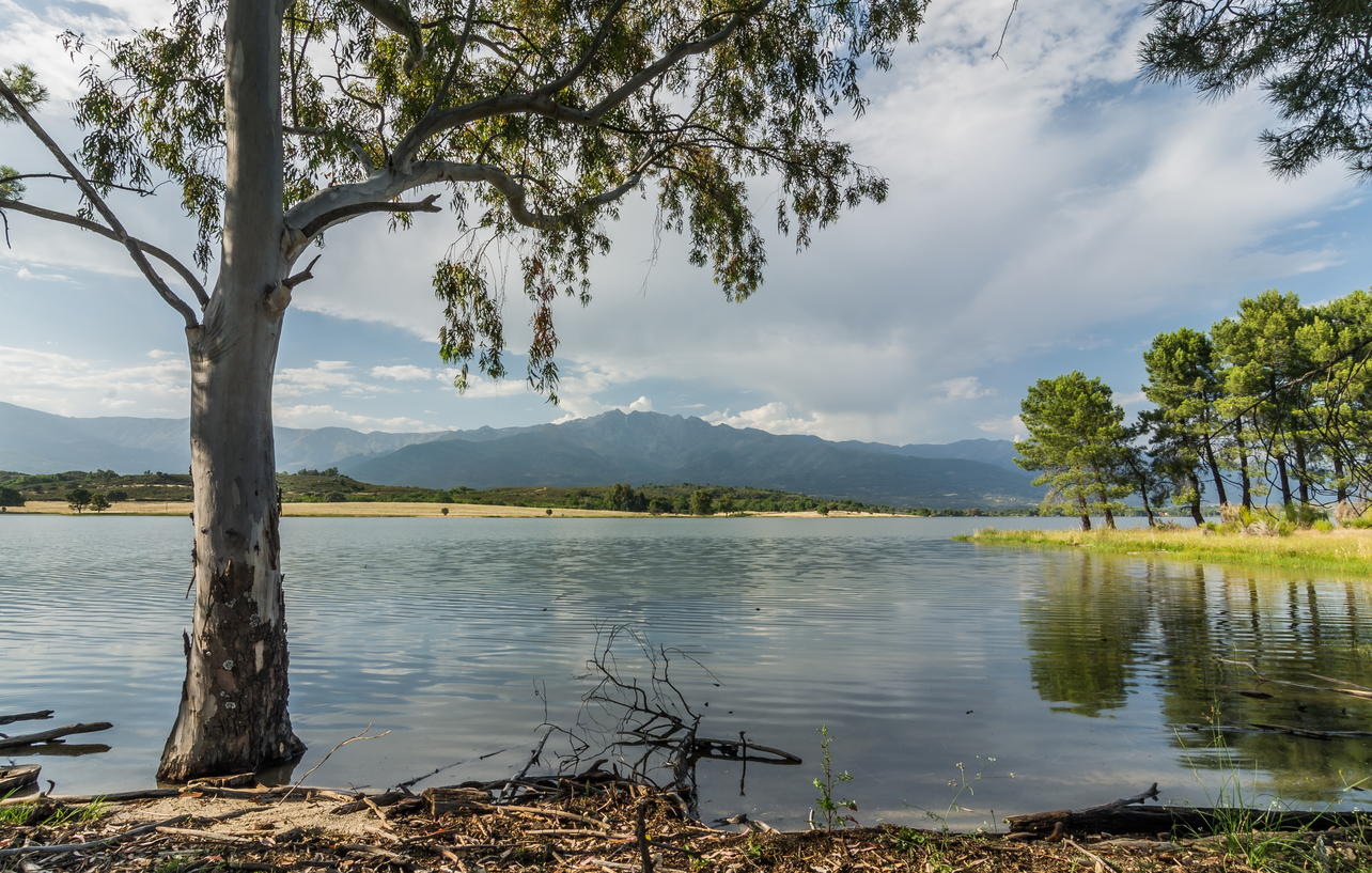 Rosarito Reservoir Image
