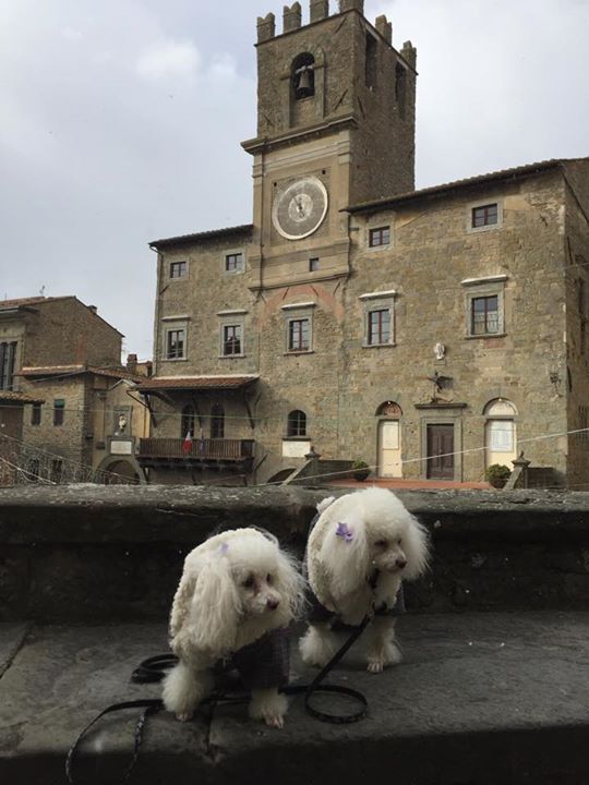 Casa Chilenne Bed and Breakfast, Cortona Image