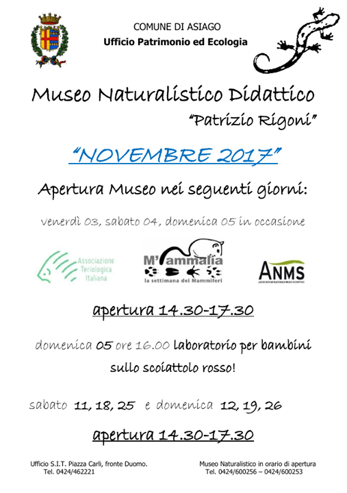 Museo Naturalistico Didattico " Patrizio Rigoni " Image