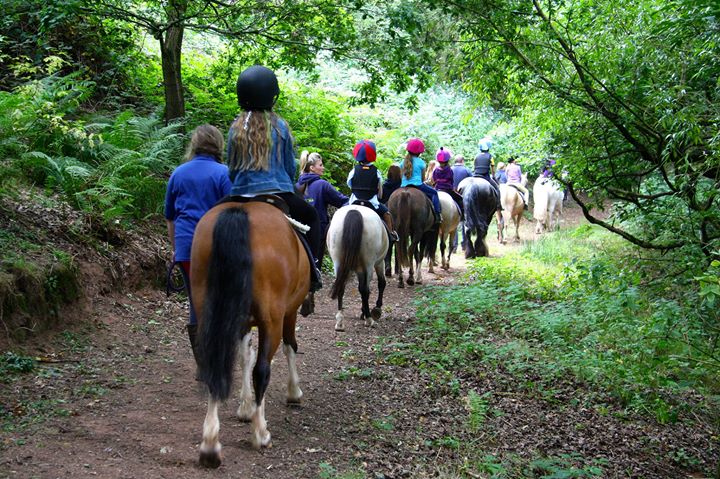 Stourport Riding Centre Image