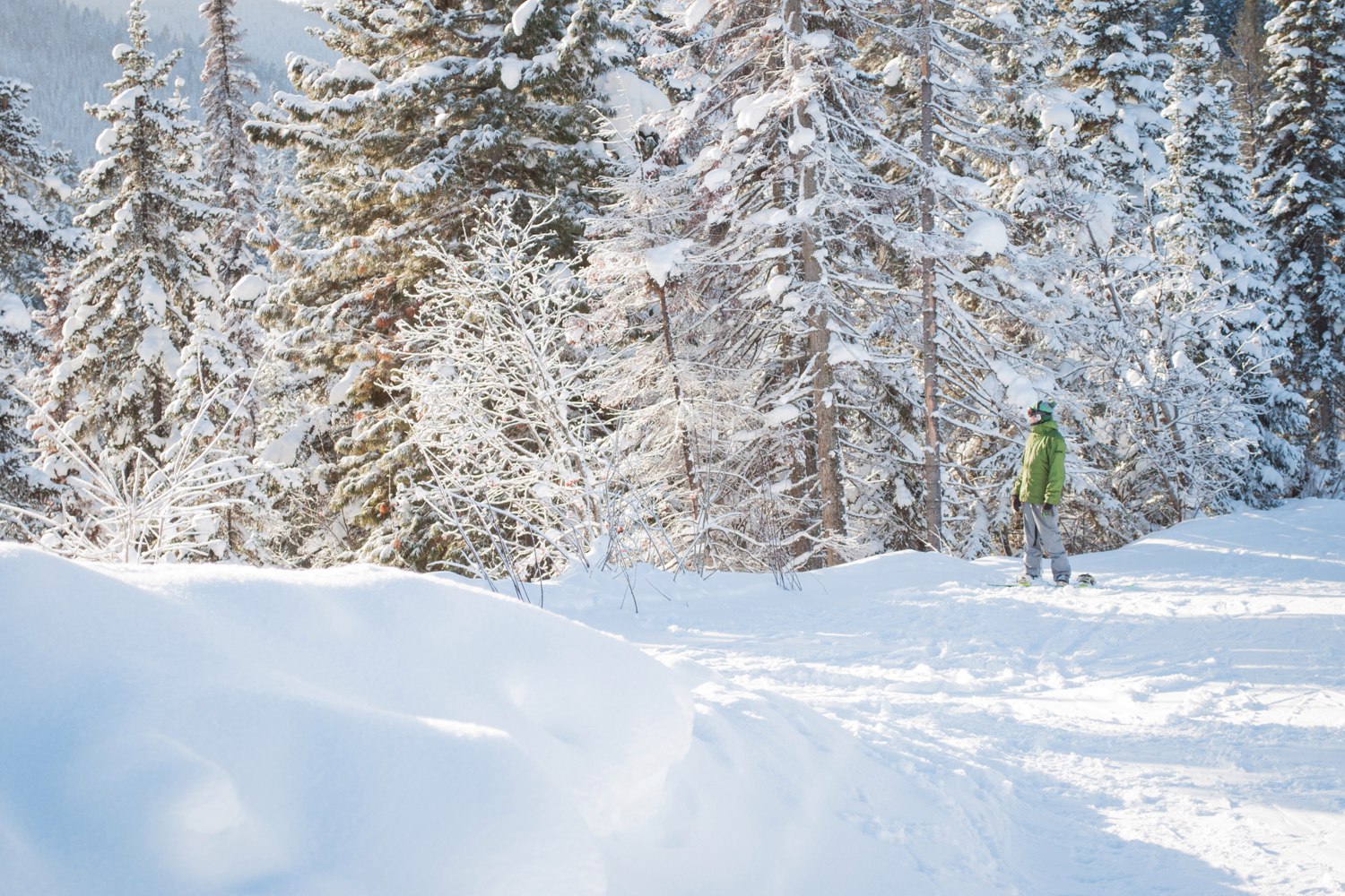 Gora Sobolinaya ski resort, Siberia Image