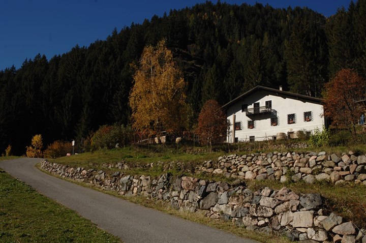 B&B Il Maso delle Vivane Image