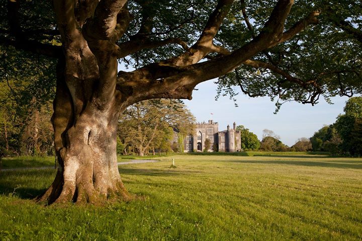 Birr Castle Gardens Image