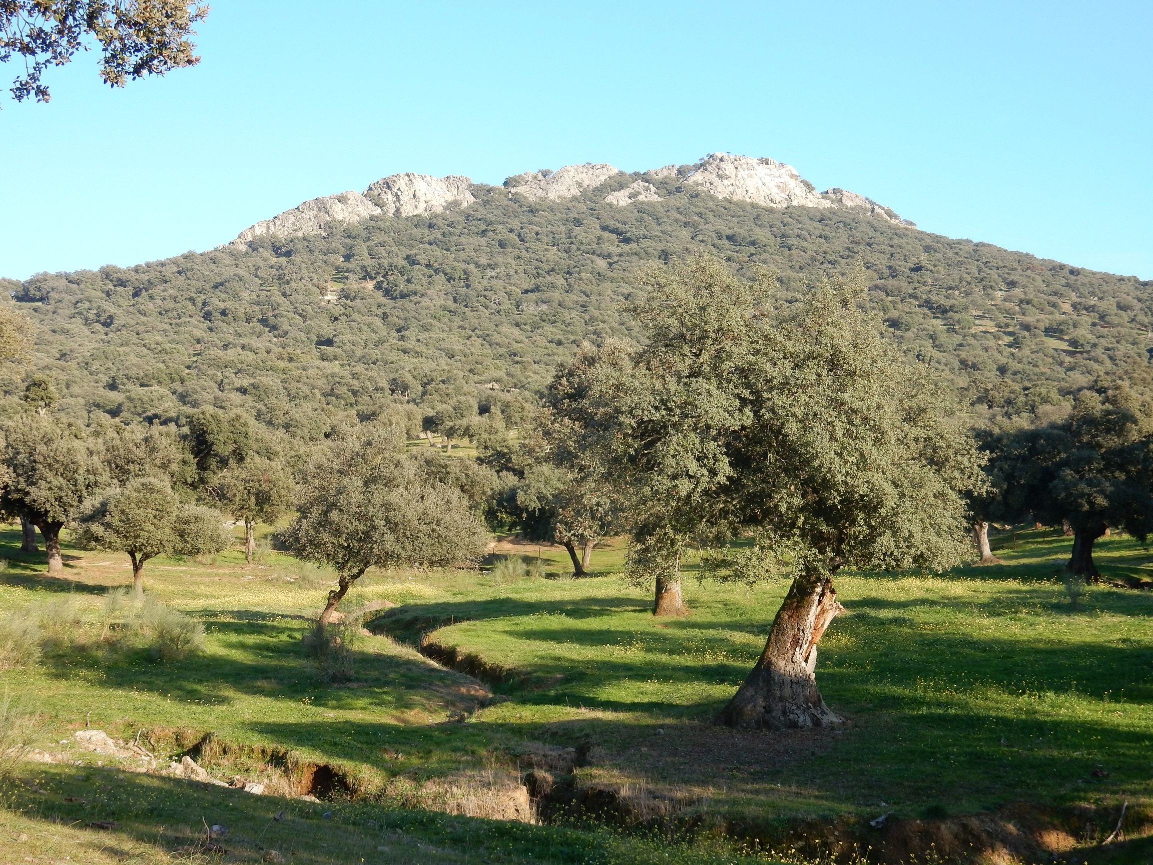 Risco Barbellío Image