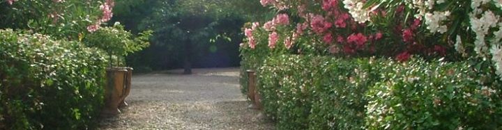 La Burlande - Provence Bed & Breakfast Image