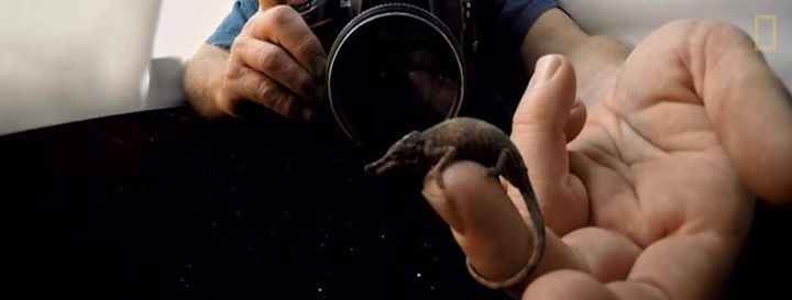 Museu de História Natural e da Ciência da U.Porto Image