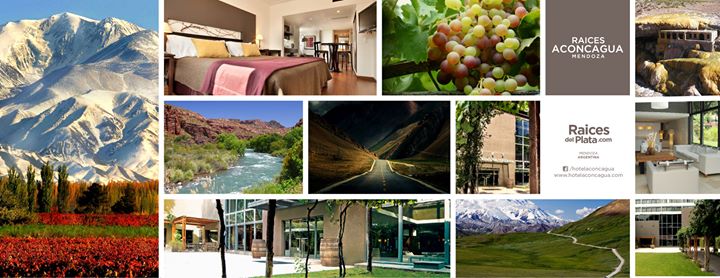 Hotel Aconcagua Image