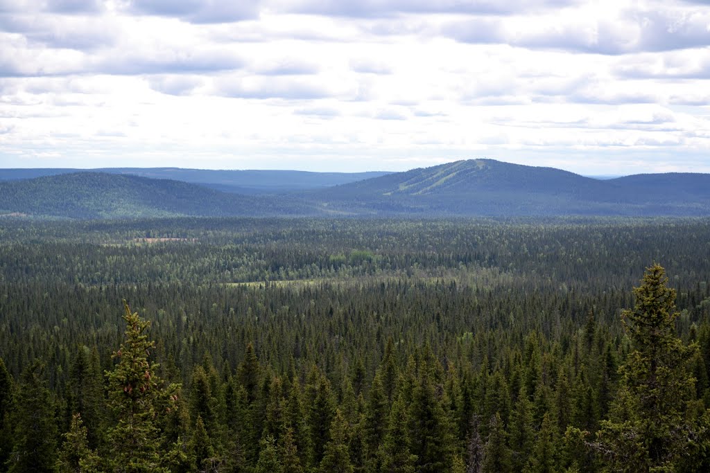 Syöte National Park Image