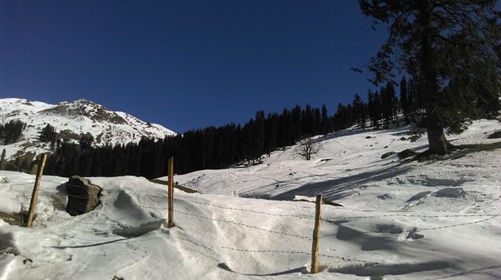 Kullu-Manali the valley of natural beauties - Himalayan Navigators Image