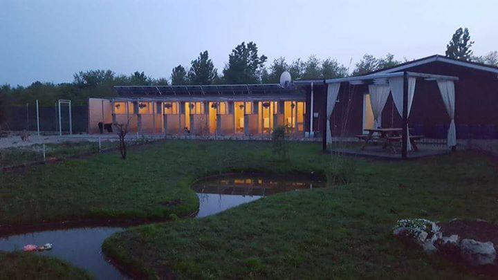 Pensiune Canina Bucuresti " La Padure" Image