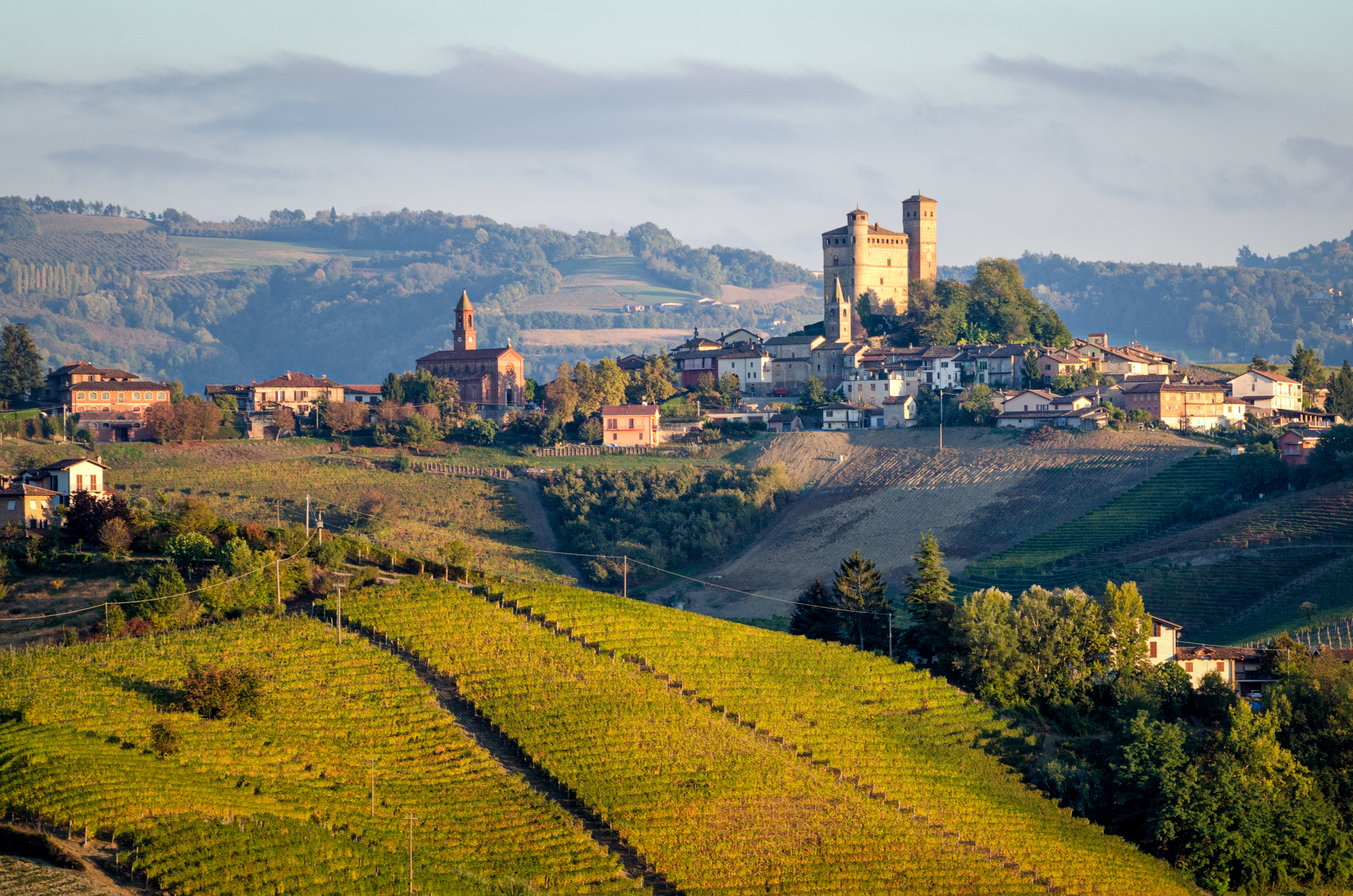 Castello di Serralunga d'Alba Image