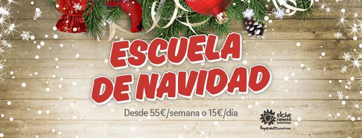 Elche Palmeral Aventuras Image