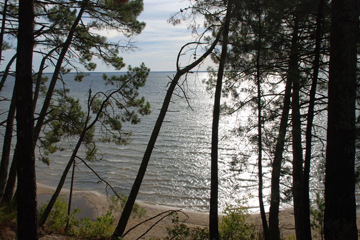 Camping du Lac de cazaux Image