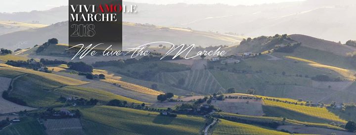 La Casetta B&B Tavullia Image