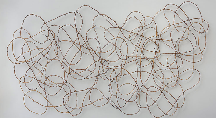 Galerie Papillon Image