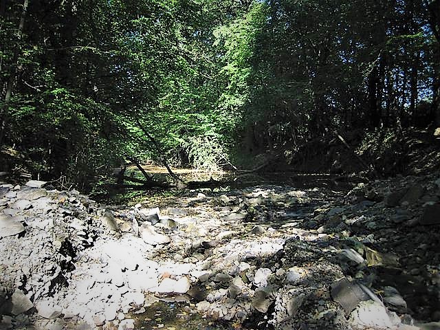 Rezavka, nature reserve Image