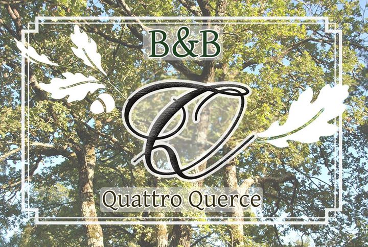 B&b Quattro Querce Image